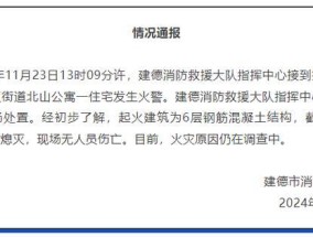 浙江一公寓发生火情 消防迅速扑灭无伤亡