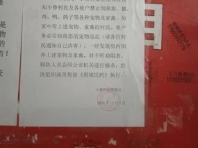 社区发布捕杀宠物通知惹争议 措辞不当引不满