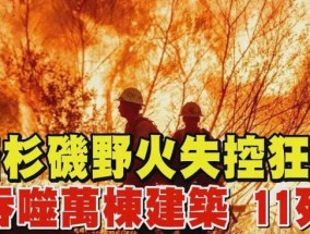 日月谭天丨岛内从洛杉矶大火看到了什么？