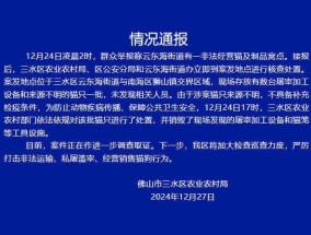 佛山通报近百只猫水塘中溺死 非法窝点被查处