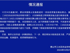 当地回应网传近百只猫被溺死 官方已依法处置