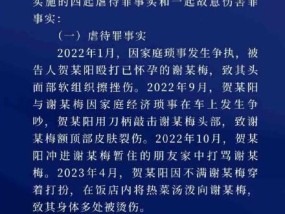 法院说明家暴16次案不能定性故意杀人 虐待与故意伤害并罚