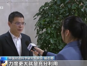 如何理解明年财政政策“更加积极”？专家解读