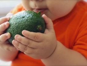 幼儿健康理解，全面关注与科学引导的双重重要性