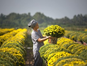 温馨祝福，愿老人健康长寿，岁月安好