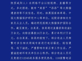 两人造谣大熊猫遭虐待被罚 散布谣言者依法移送起诉