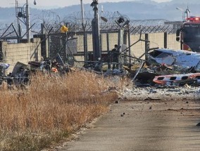 韩国客机爆炸已致179人遇难 初步推测撞上鸟群所致