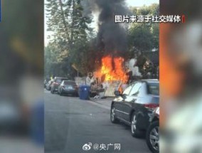 洛杉矶人为纵火案频发 小型纵火事件增多