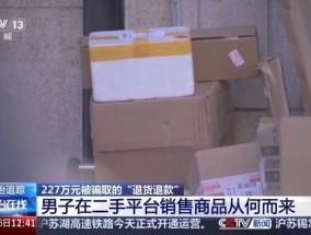 男子恶意退货诈骗被判11年 利用“买真退假”手段