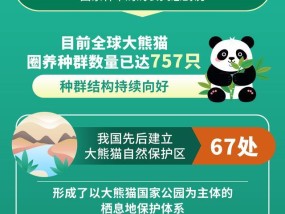 全球大熊猫圈养种群数量达757只 种群结构持续向好