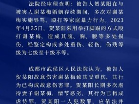 女子2年遭家暴16次 前夫被判11年 家庭暴力引发广泛关注