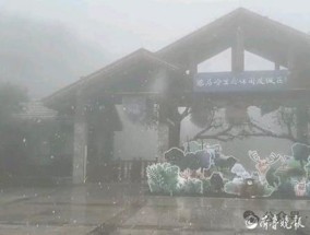 济南迎来2024年冬天的第一场雪 积雪深度达10厘米