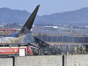 韩客机爆炸事故已致120人死亡 偏离跑道撞墙起火