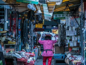 北京世纪美食，一场味觉之旅的独特体验