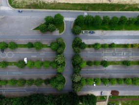 广州穗盐路，一场味蕾的盛宴美食之旅