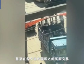 中国人在缅北被明码标价反复出售 电诈犯罪触目惊心