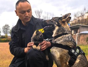 云南一警犬被多次通报批评 爱闯祸的小家伙