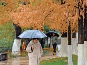 山东迎来今冬初雪 寒潮影响持续降温