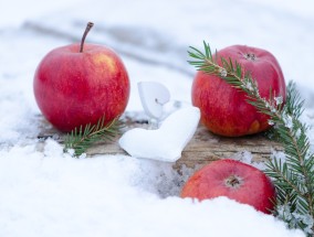 冬日味蕾盛宴，大雪美食简笔画，感受冬日里的温暖与甜蜜