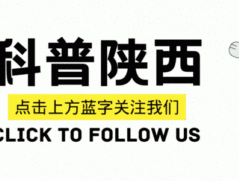 车厘子吃多了不会中毒 科学辟谣放心吃