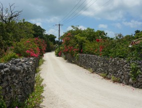 桐庐旅游景点探秘之旅，追寻自然与文化的魅力