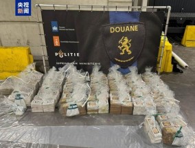 荷兰海关查获720公斤可卡因 香蕉藏毒再被截获