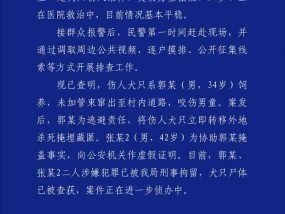 西安警方通报男童遭恶犬咬伤 案件详情公布