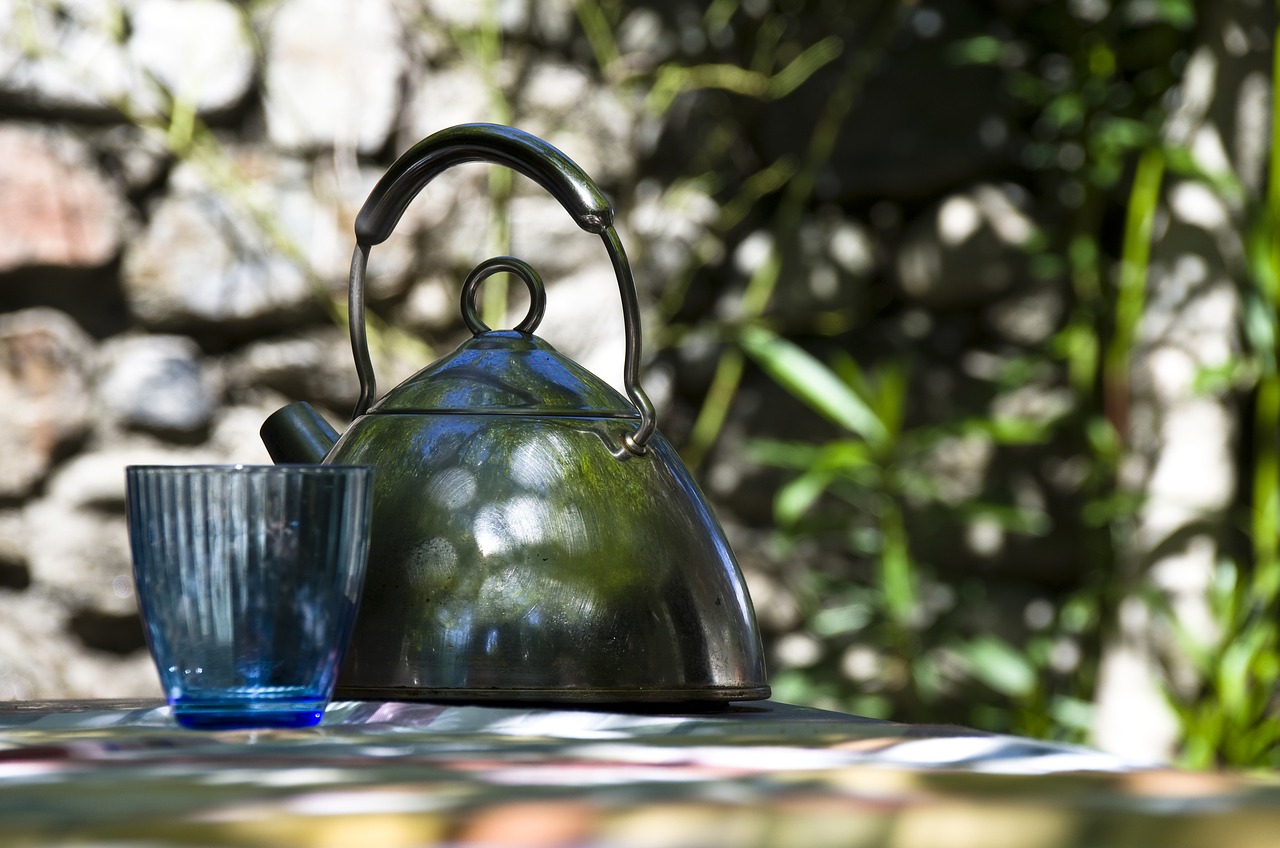 关于药物与茶叶水共饮，哪些药物可以与茶叶水同服？的探讨  第1张