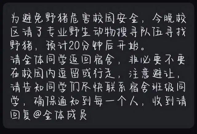 学校回应出现野猪：已逼到湖里游走，加强巡逻防范  第4张