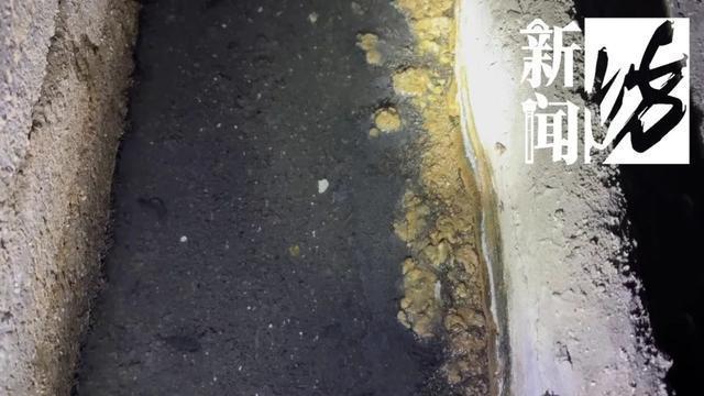 上海一小区夹层藏上万只蛆 高端住宅变“臭水沟”  第6张