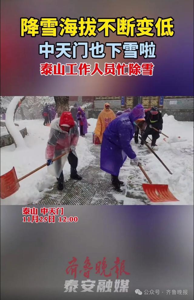 济南迎来2024年冬天的第一场雪 积雪深度达10厘米  第2张