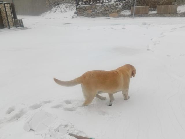 北京初雪 高海拔山区迎来薄雪  第2张