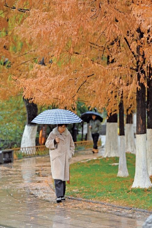 山东迎来今冬初雪 寒潮影响持续降温  第1张