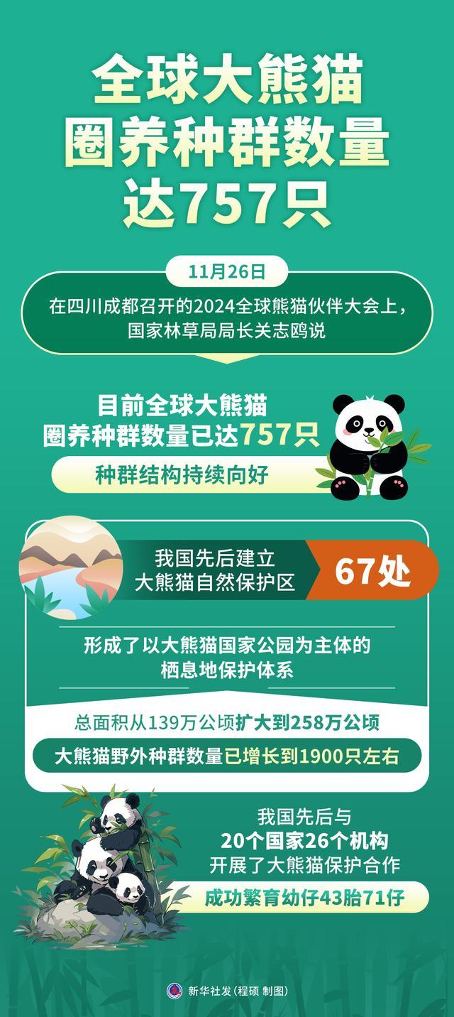 全球大熊猫圈养种群数量达757只 种群结构持续向好  第1张