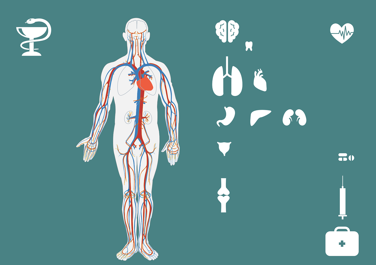 新华人寿健康险，守护您的健康之路，全方位保障您的生命安全  第1张