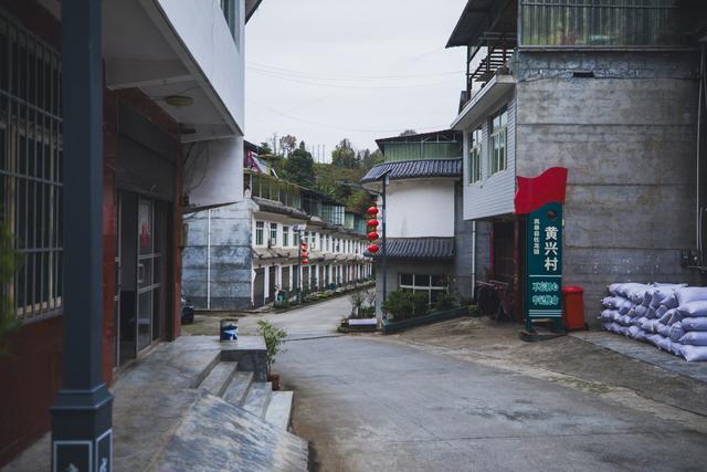 探访安康野猪袭人事发地 小山村成舆情焦点  第2张