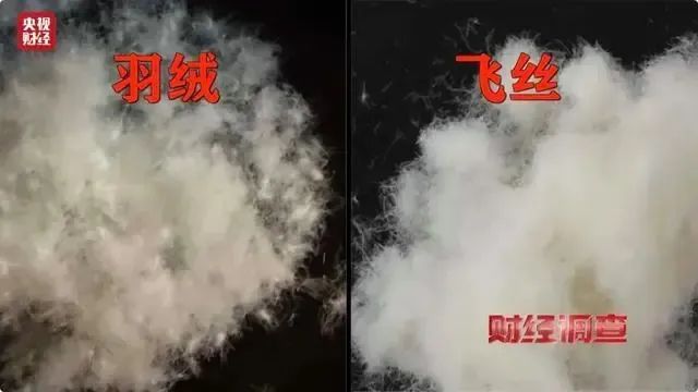 千元羽绒服拆开发现全是飞丝 伪劣产品引发热议  第2张