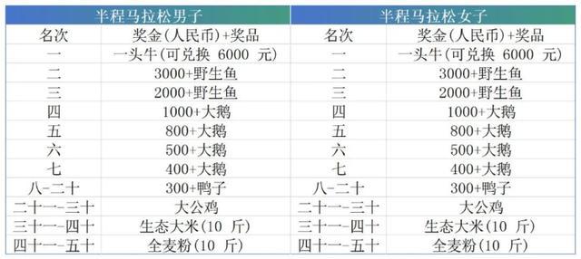 马拉松比赛冠军奖励一头牛 独特奖品引热议  第2张