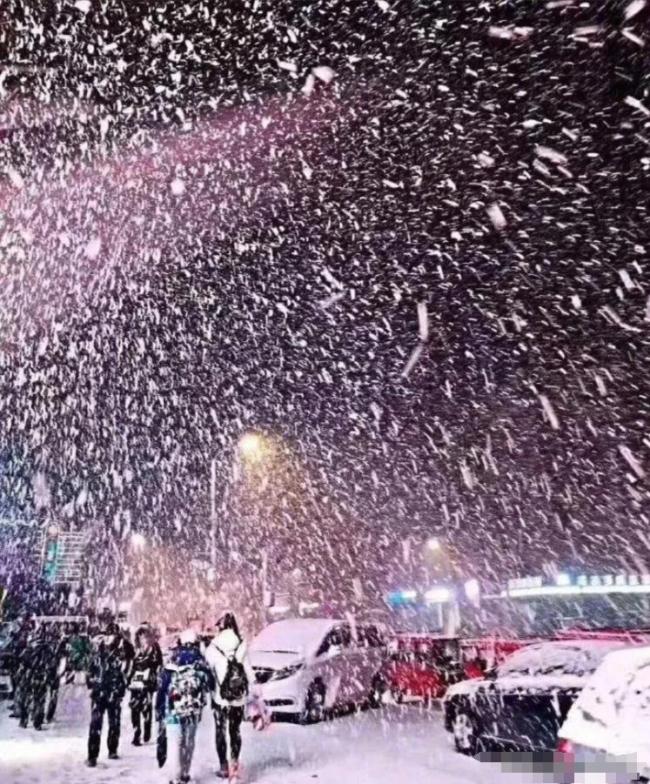 哈尔滨雪中灯光秀的震撼瞬间 雪夜之美与内心对话  第6张