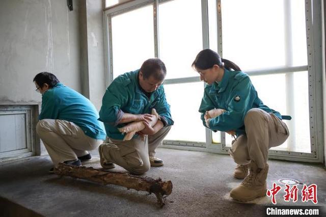 16只朱鹮回到北京动物园 助力种群繁育  第1张