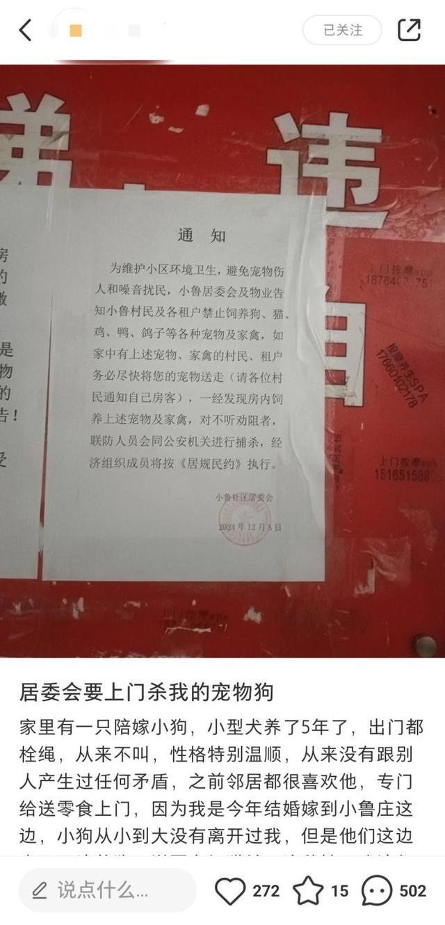 社区发布捕杀宠物通知惹争议 措辞不当引不满  第1张