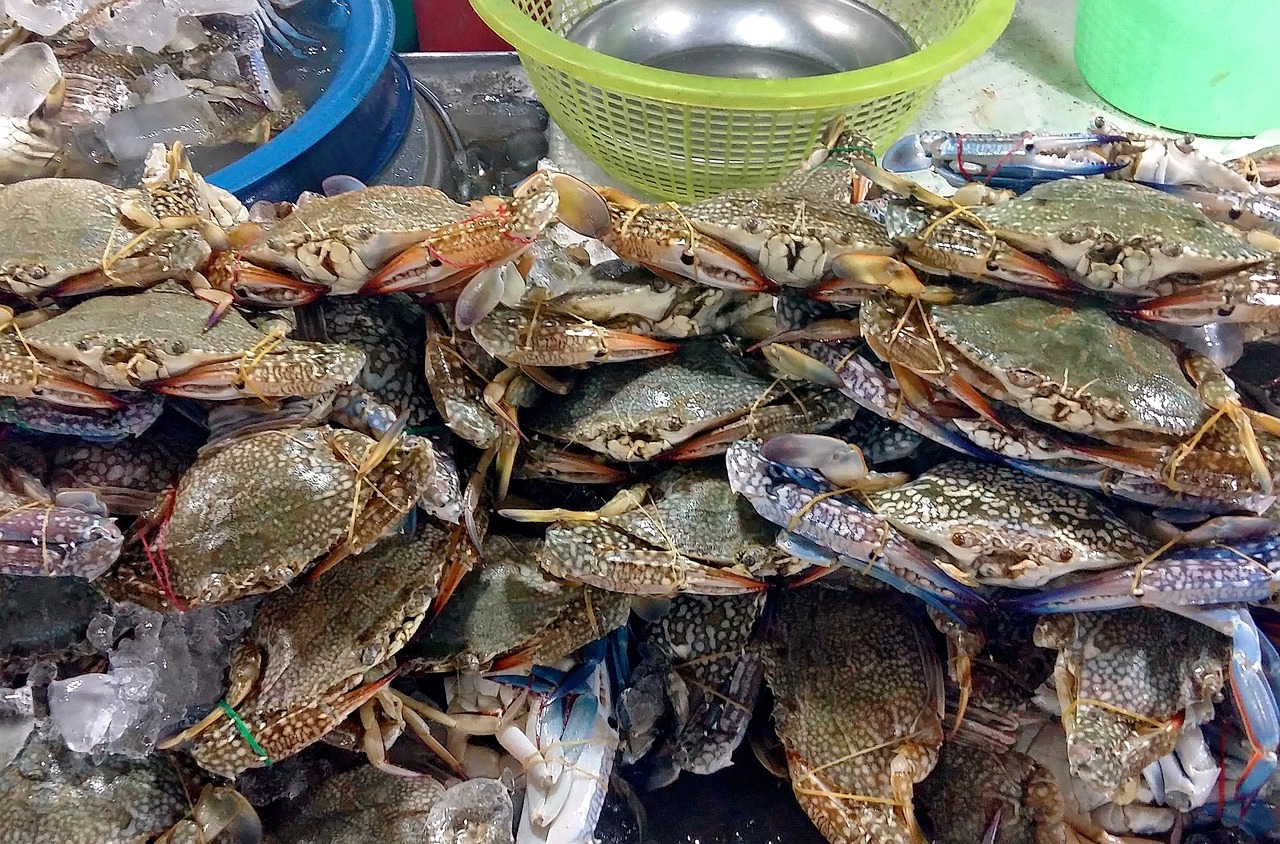 海乐世界，一场西餐美食的探索之旅  第1张