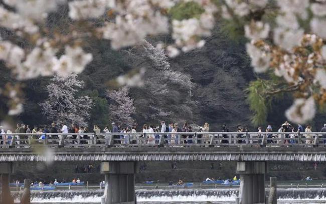 日本成了江浙沪打工人后花园，周五飞去泡汤，周一凌晨返工  第3张