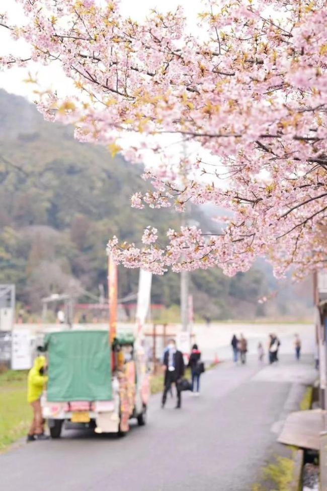 日本成了江浙沪打工人后花园，周五飞去泡汤，周一凌晨返工  第8张