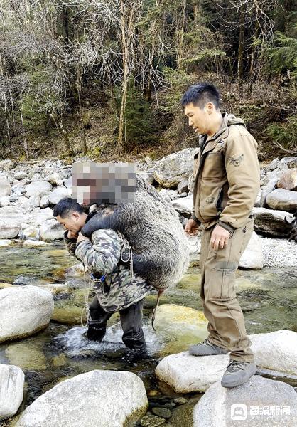 职业野猪猎人称月入过万并不划算 付出与回报不成正比  第3张