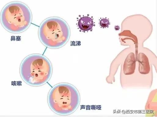 人偏肺病毒如何传播 冬季儿童易感  第2张