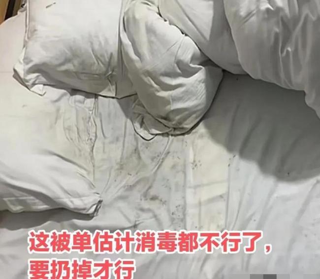 女生心情不好回家还被流浪狗偷家！  第2张