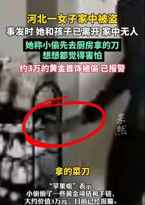 家中被盗，女子回看视频发现小偷先去厨房拿的刀：想想都害怕！万幸家中无人  第2张