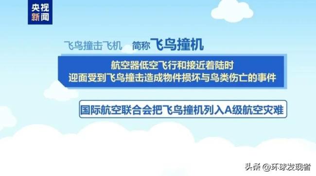 专家解读阿航坠毁客机8字形航迹 悲剧背后的谜团  第4张