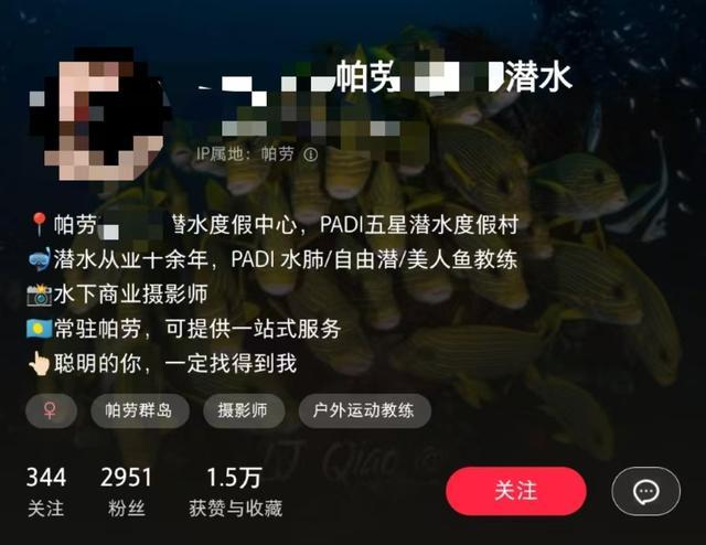 7名中国潜水员帕劳失联 搜救工作持续进行  第3张